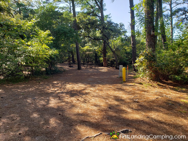 First Landing Campground Site 101