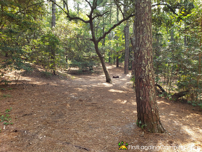 First Landing Campground Site 103