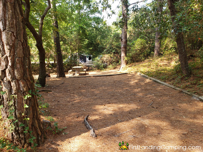 First Landing Campground Site 104