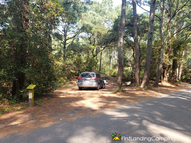 First Landing Campground Site 106