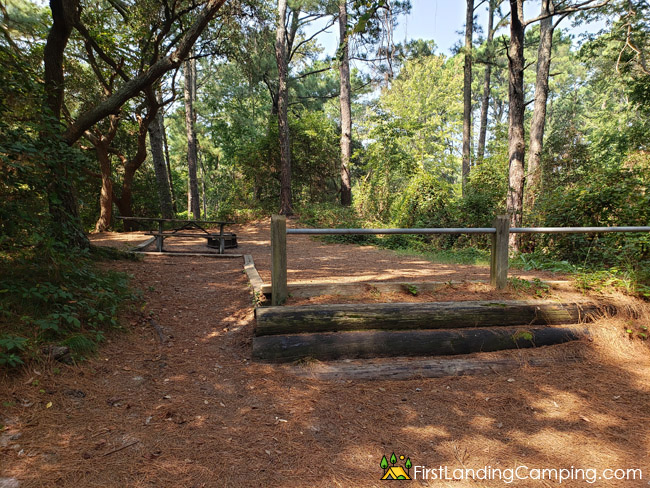 First Landing Campground Site 108