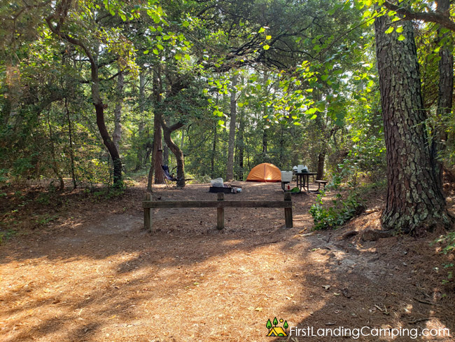 First Landing Campground Site 109