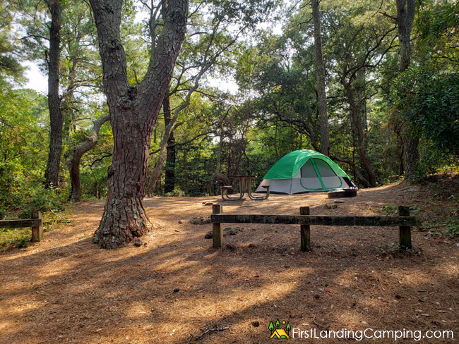 First Landing Campground Site 116