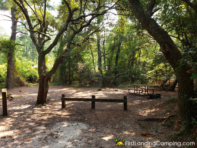 First Landing Campground Site 117