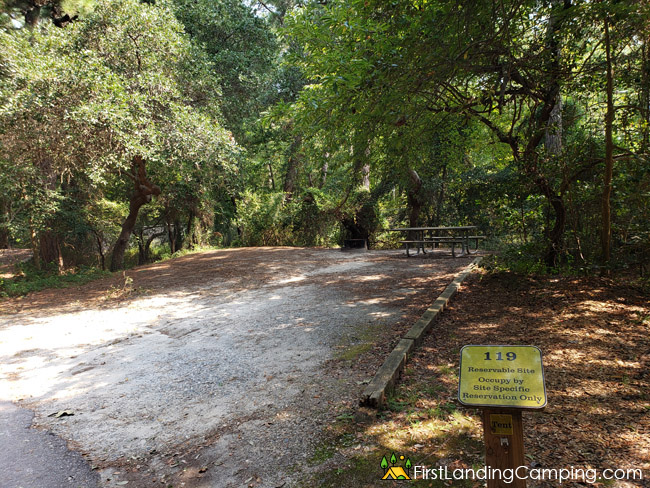 First Landing Campground Site 119