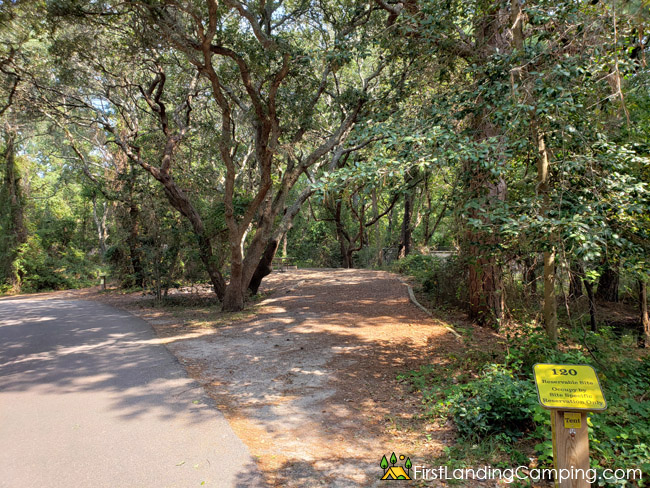 First Landing Campground Site 120