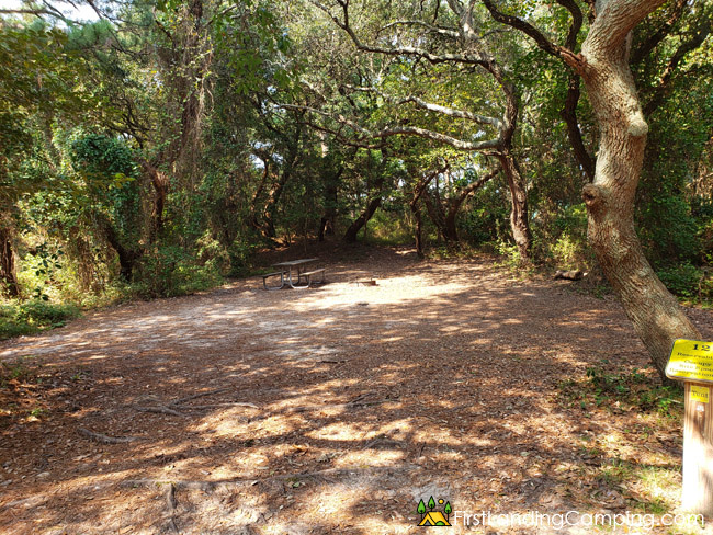 First Landing Campground Site 121