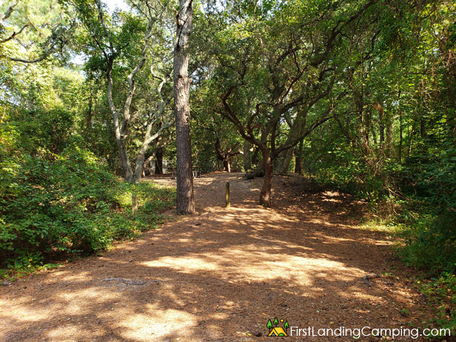First Landing Campground Site 122