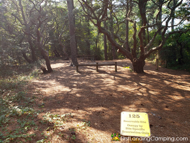 First Landing Campground Site 125