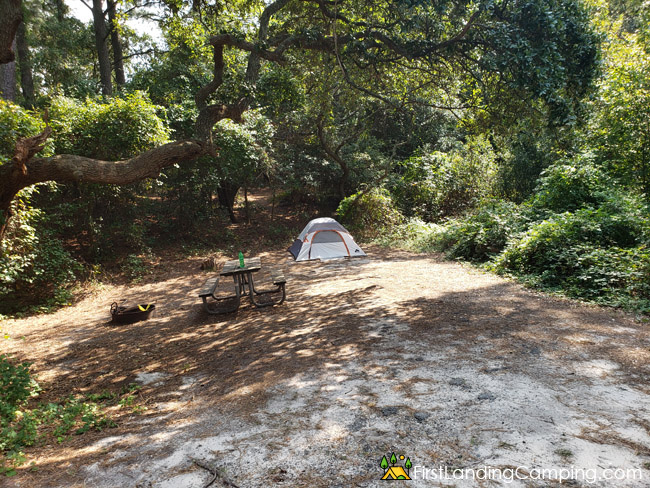 First Landing Campground Site 126