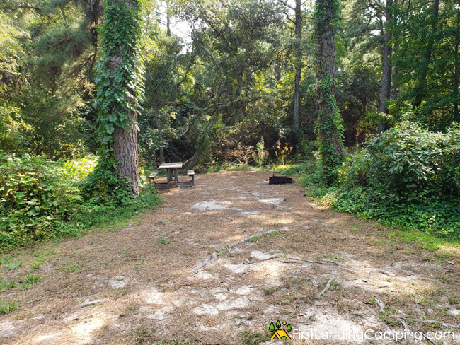 First Landing Campground Site 127