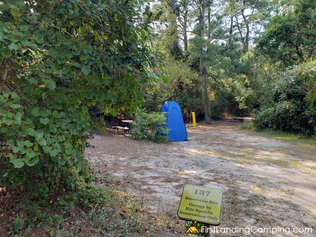 First Landing Campground Site 137
