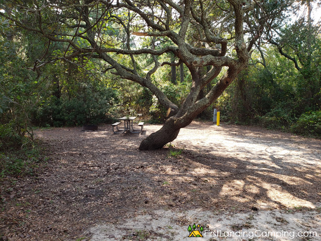 First Landing Campground Site 138