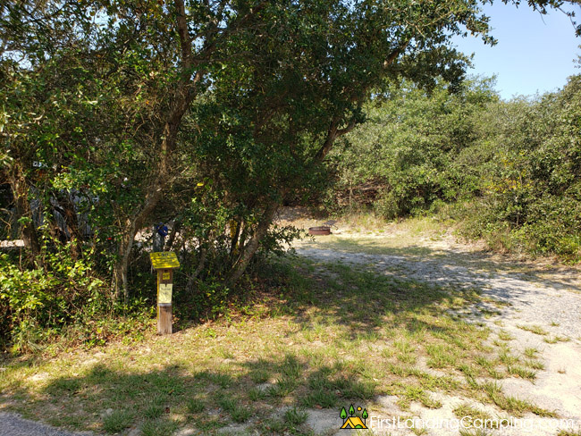 First Landing Campground Site 143