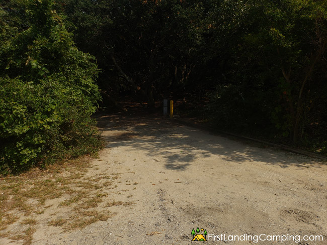 First Landing Campground Site 147