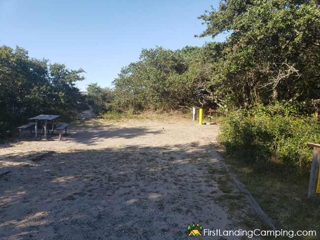 First Landing Campground Site 156