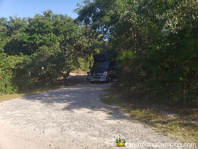 First Landing Campground Site 157