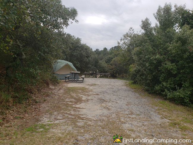 First Landing Campground Site 170 1