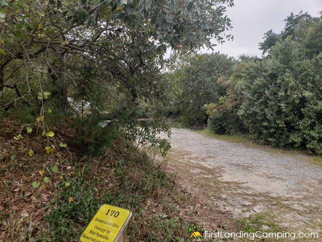 First Landing Campground Site 170