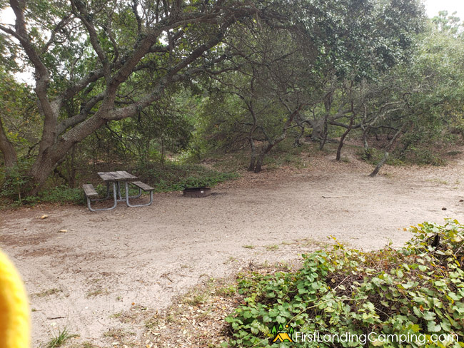 First Landing Campground Site 176 1