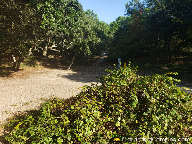 First Landing Campground Site 176