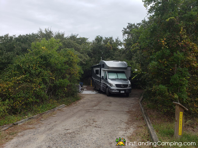 First Landing Campground Site 181
