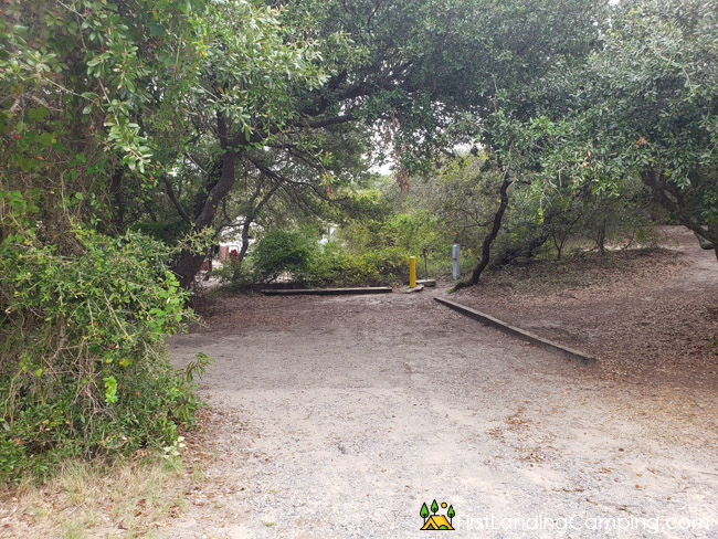 First Landing Campground Site 184