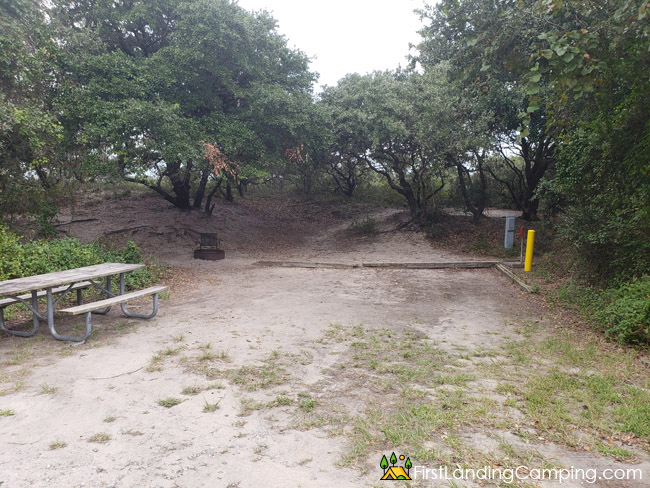 First Landing Campground Site 195