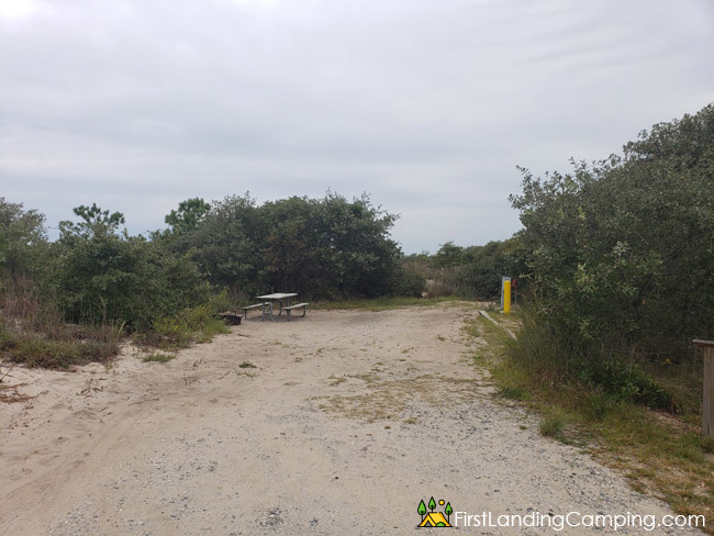 First Landing Campground Site 202