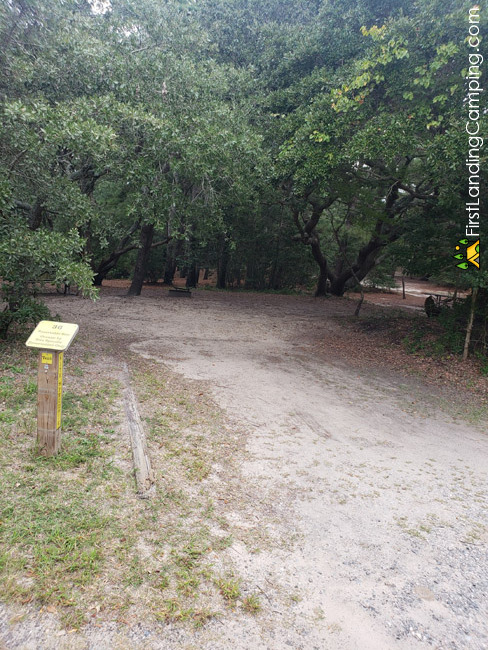 First Landing Campground Site 36