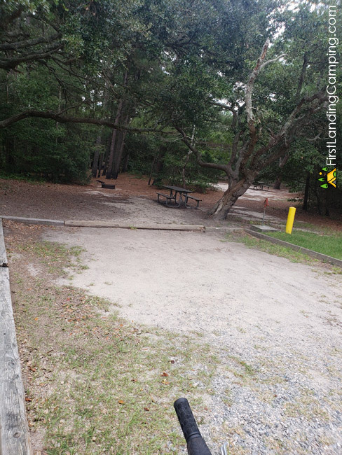 First Landing Campground Site 37