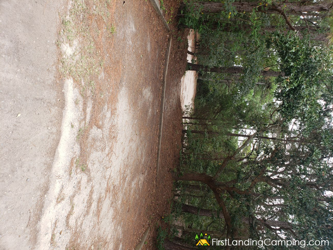 First Landing Campground Site 38