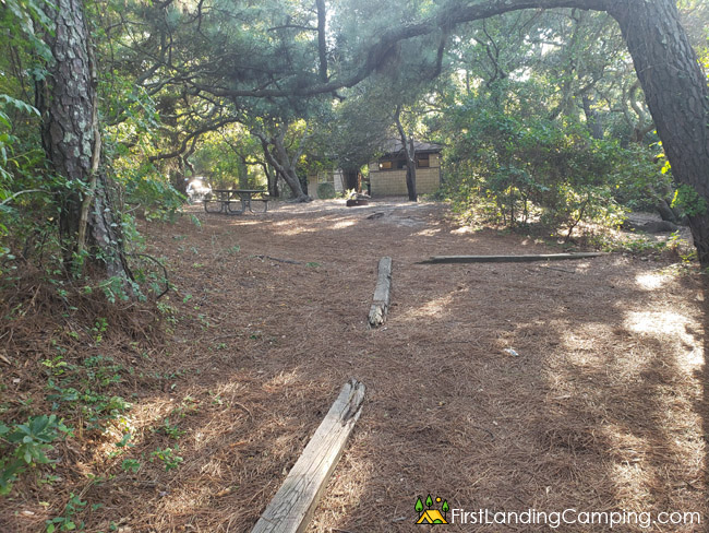 First Landing Campground Site 44