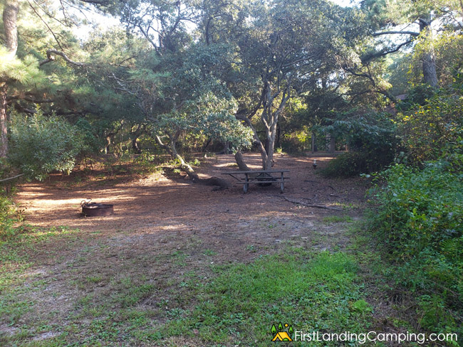 First Landing Campground Site 45