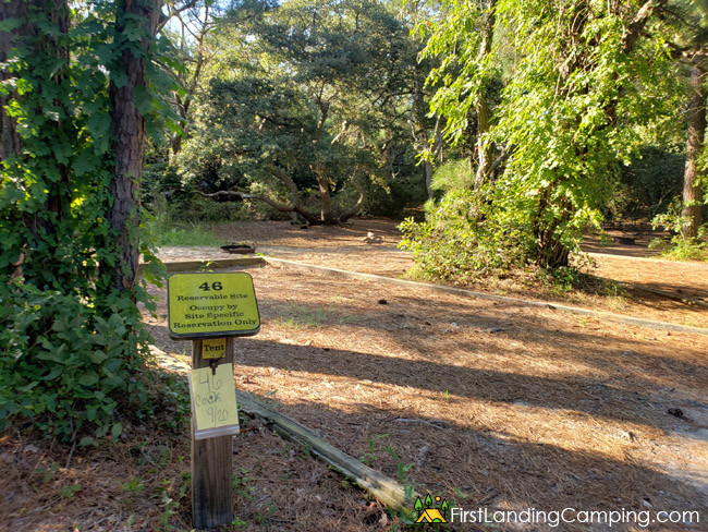 First Landing Campground Site 46
