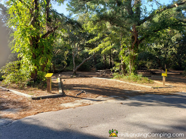 First Landing Campground Site 47