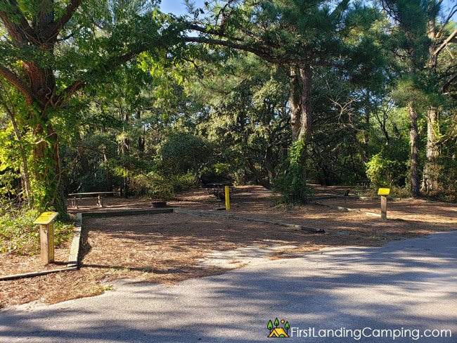 First Landing Campground Site 48