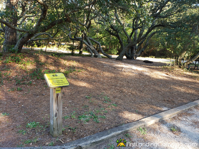 First Landing Campground Site 49