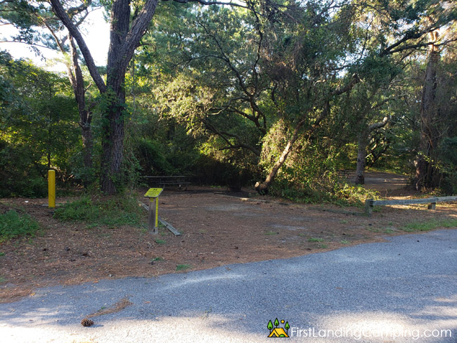 First Landing Campground Site 54