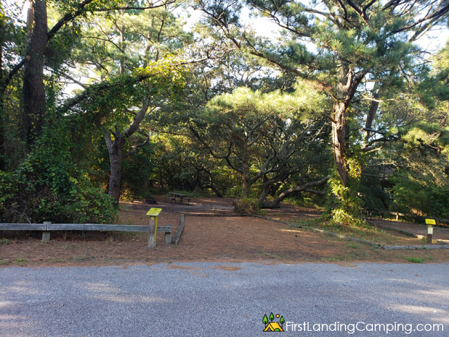 First Landing Campground Site 56