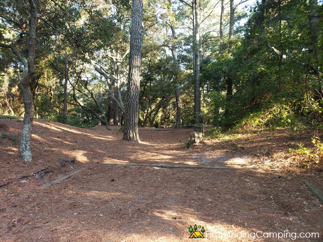 First Landing Campground Site 69