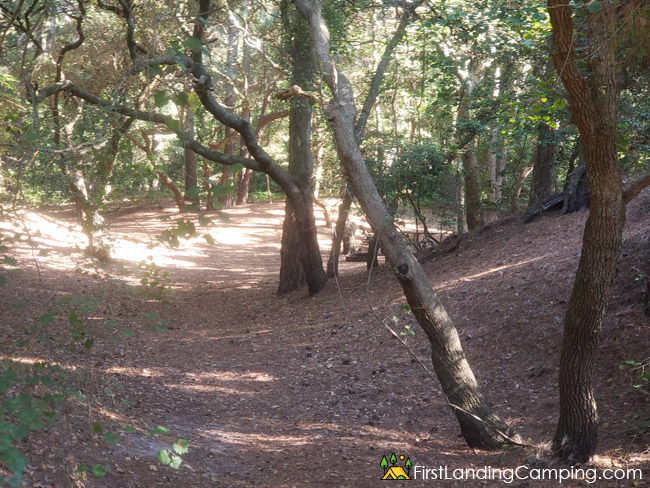 First Landing Campground Site 71