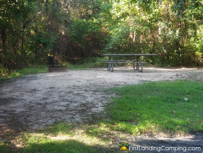 First Landing Campground Site 77
