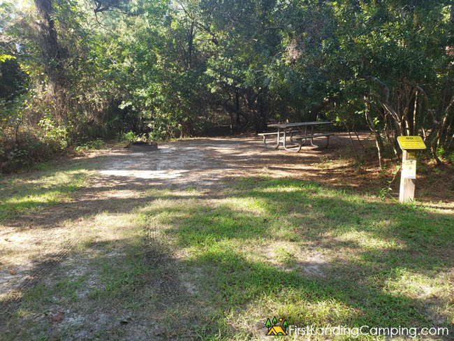 First Landing Campground Site 80