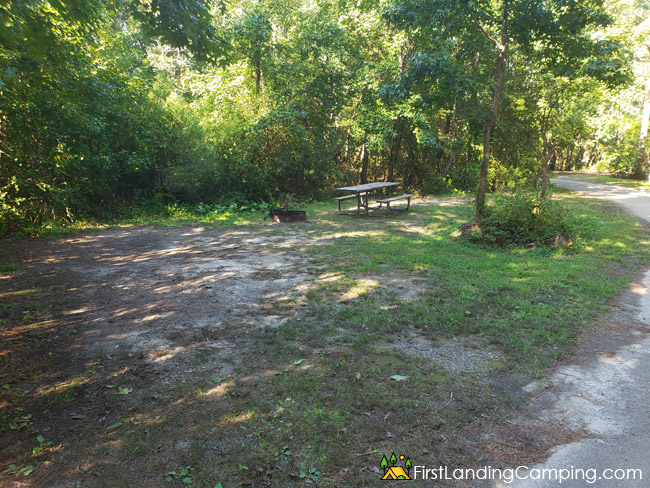 First Landing Campground Site 81