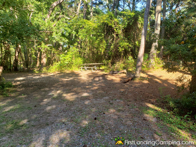 First Landing Campground Site 84