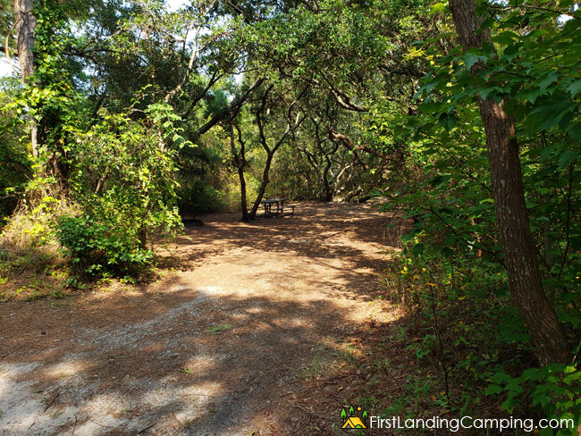 First Landing Campground Site 86