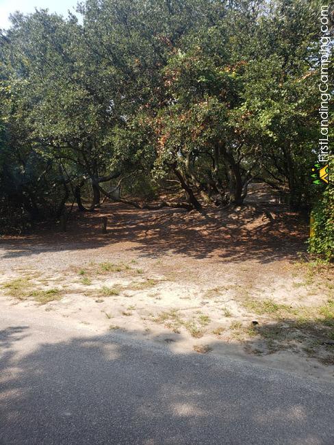 First Landing Campground Site 91 1