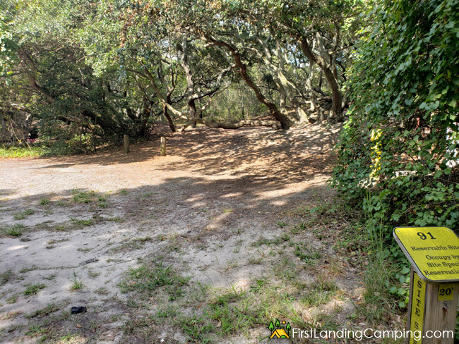 First Landing Campground Site 91