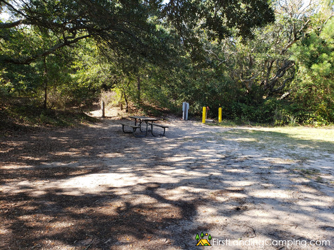 First Landing Campground Site 97